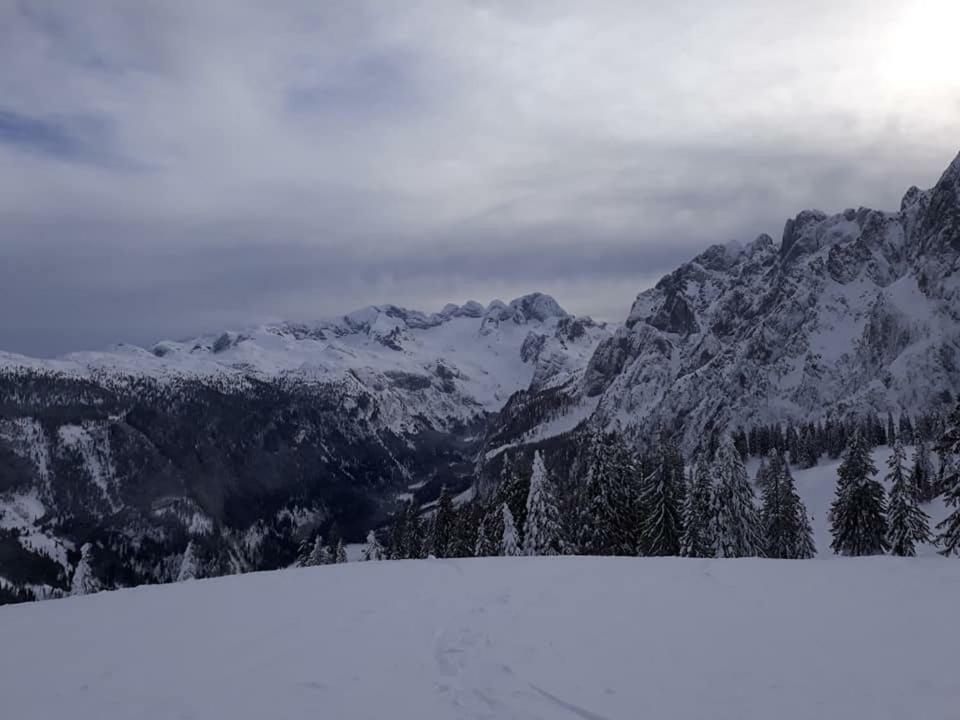 Dachstein view ski apartment Gosau Exterior foto