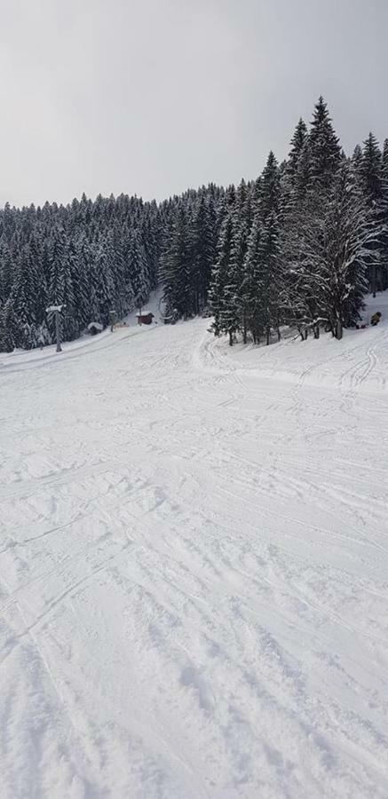 Dachstein view ski apartment Gosau Exterior foto